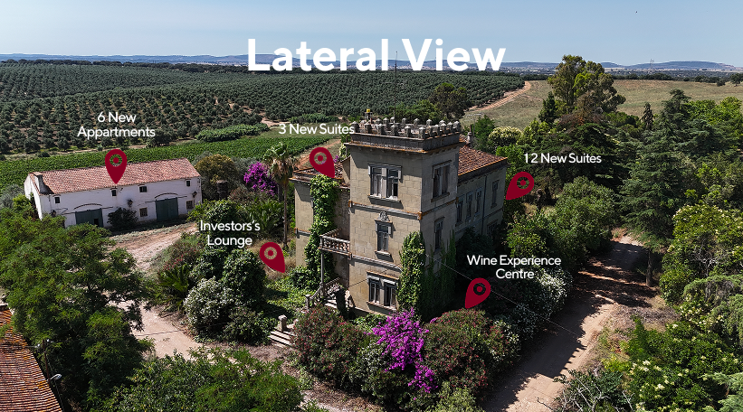 lateral view da gama